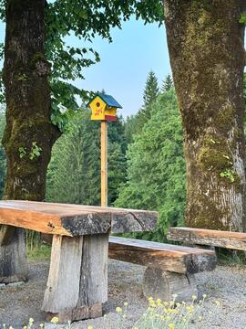 Ptičja hišica - Briga